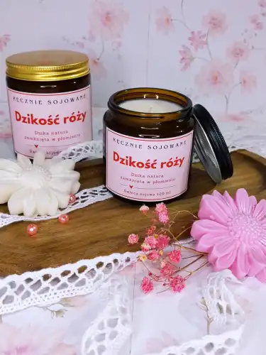 dzikosc rozy 120.webp