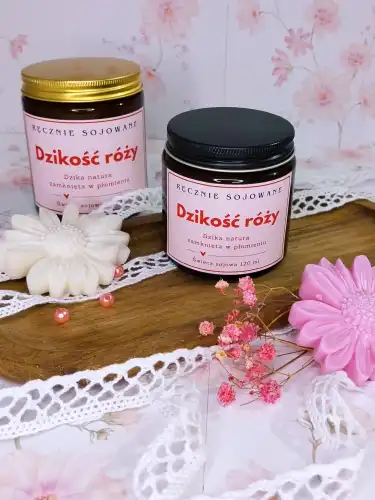 dzikosc rozy 120-2.webp
