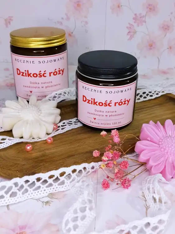 dzikosc rozy 120-2.webp