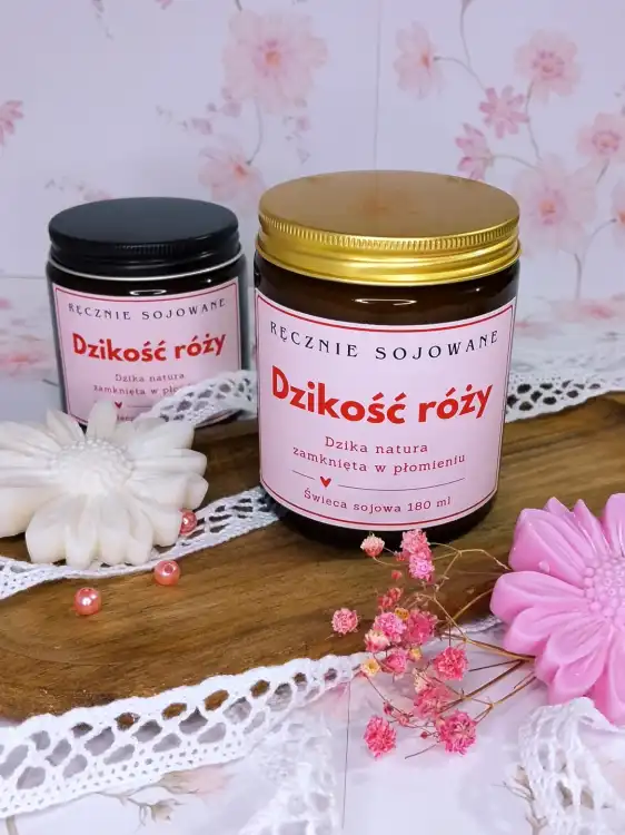 dzikosc rozy 180-2.webp